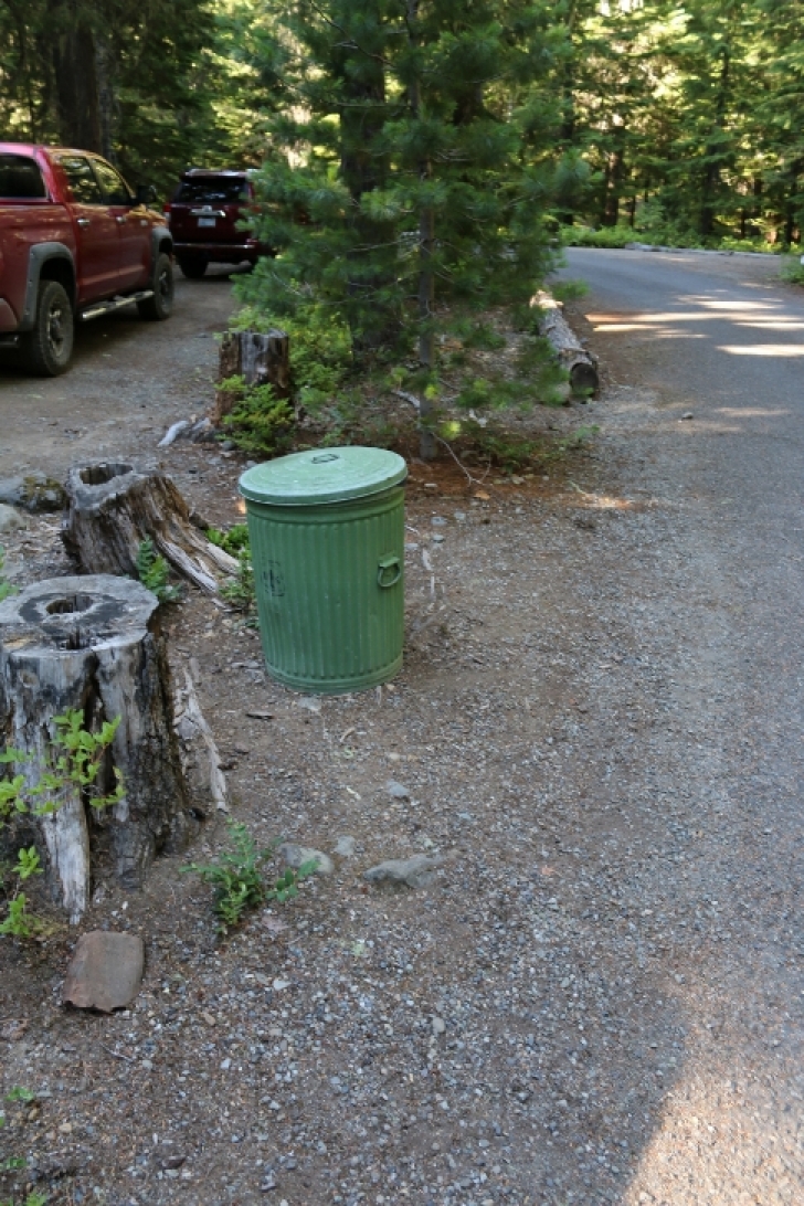 Camping in Washingtons Kachess Campground.
